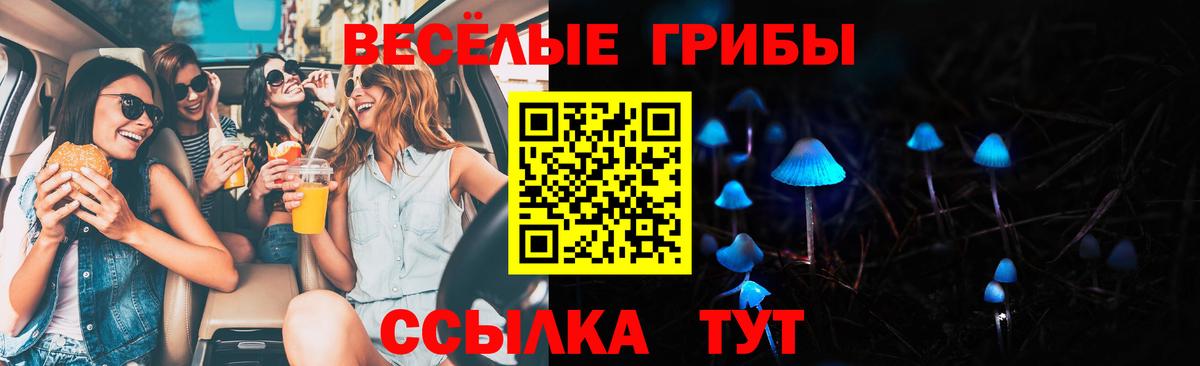 Псилоцибиновые грибы Magic Shrooms Пушкино